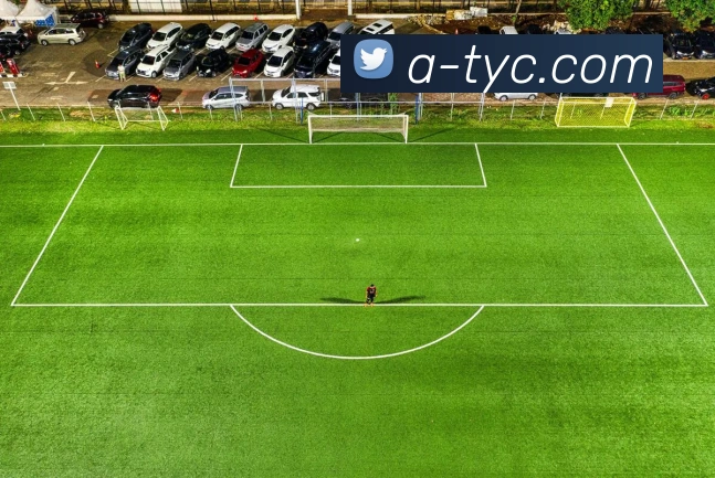 太阳城网站APP 体育赛事宣传图